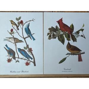 2 Vintage Beautiful Bird Prints Art. Cardinal, Warblers, blue birds. Wall Decor